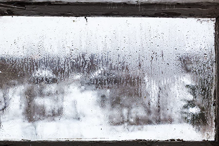 Defogging Double Pane Windows in West Lealman