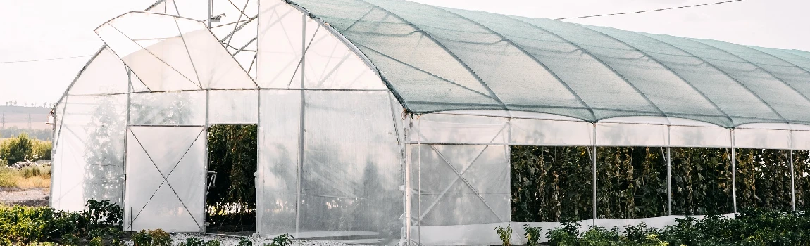 Safe And Reliable Glass Greenhouse in West Lealman